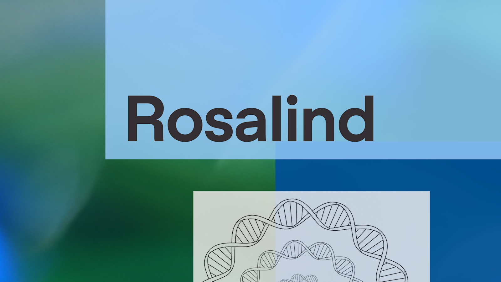 OpenAI Rosalind 官方页面主视觉：Rosalind 字标与 DNA 双螺旋