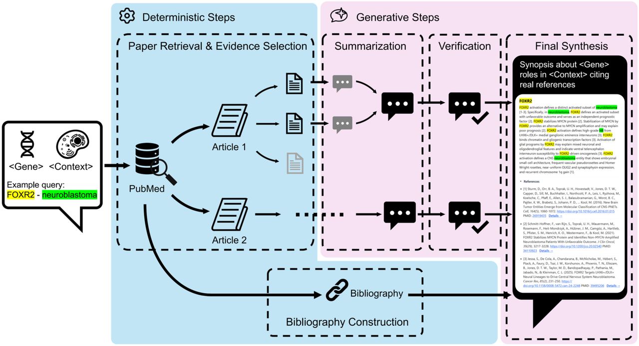 GeneKnow 可审计 AI 证据综合框架