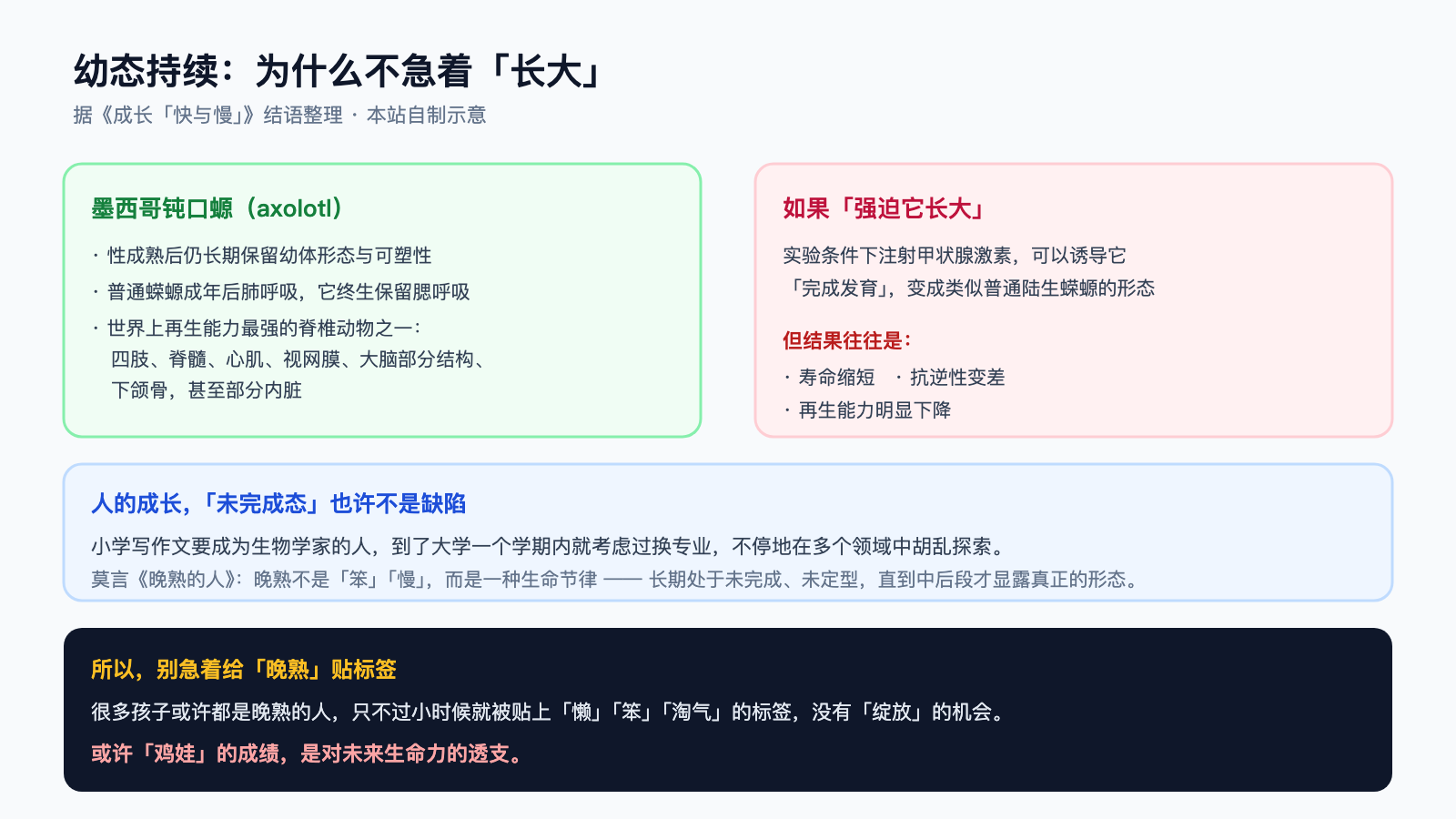 幼态持续：墨西哥钝口螈与「不急着长大」的启示