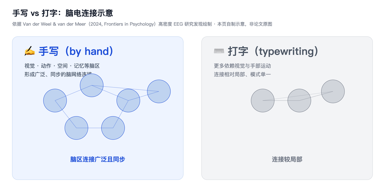 手写与打字时的脑电连接示意：手写触发广泛同步连接，打字连接较局部
